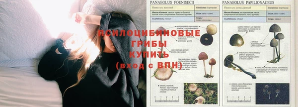 мефедрон мука Алзамай