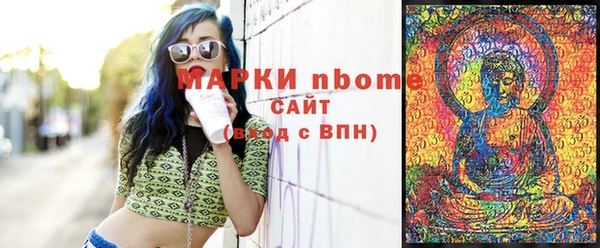 гидра Надым