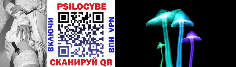 купить наркоту  Новочеркасск  Галлюциногенные грибы Cubensis 