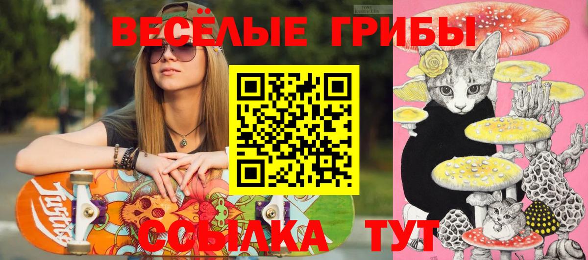 Галлюциногенные грибы мицелий Новочеркасск