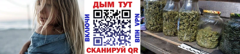 где можно купить наркотик  Новочеркасск  Шишки марихуана план 